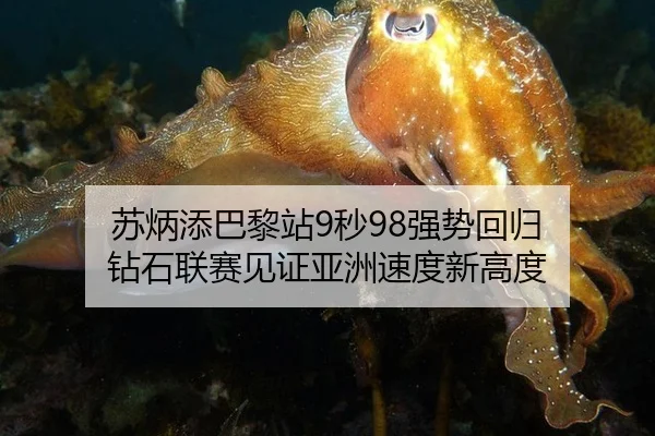 su-bing-tian-ba-li-zhan-miao-qiang-shi-hui-gui-zuan-shi-lian-sai-jian-zheng-ya-zhou-su-du-xin-gao-du-2-130.jpg