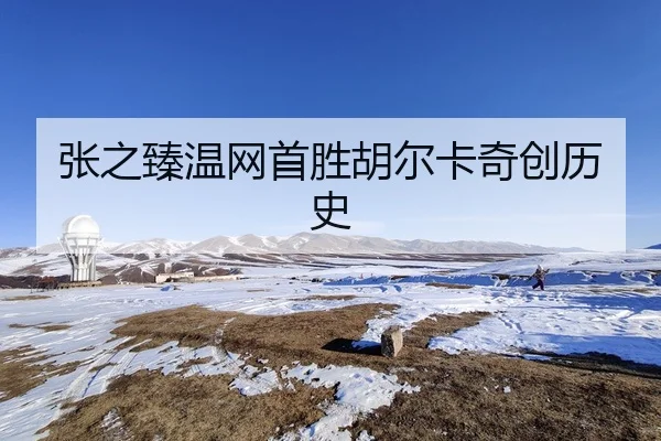 张之臻温网首胜胡尔卡奇创历史