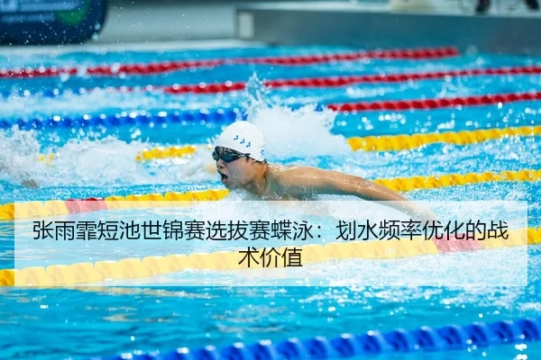 zhang-yu-fei-duan-chi-shi-jin-sai-xuan-ba-sai-die-yong-hua-shui-pin-lv-you-hua-de-zhan-shu-jia-zhi-3-910.jpg